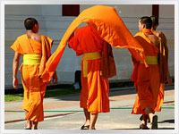 Thai Monks young Buddhist monks in Thailand