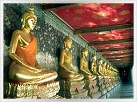 a collection of statues of the meditating buddha
