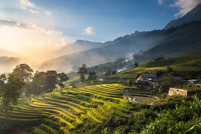 rice-fields-on-terraced-in-sunset-at-sapa-lao-cai-vietnam